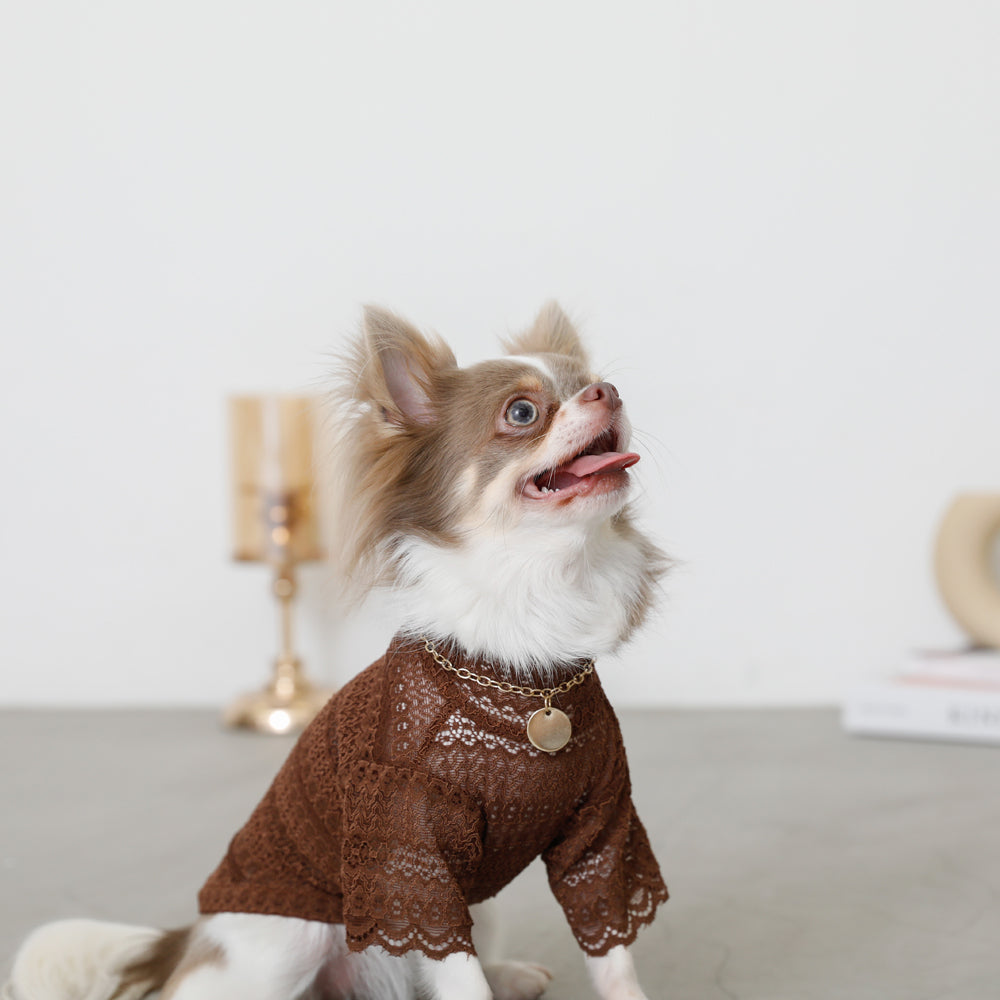 サークルチャームチェーンネックレス【名入れ彫刻対応】