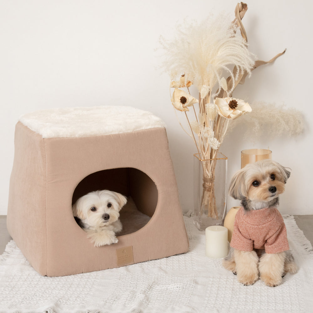 2way pet house