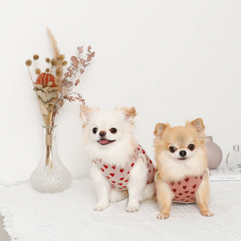 Heart pattern 2way reversible vest