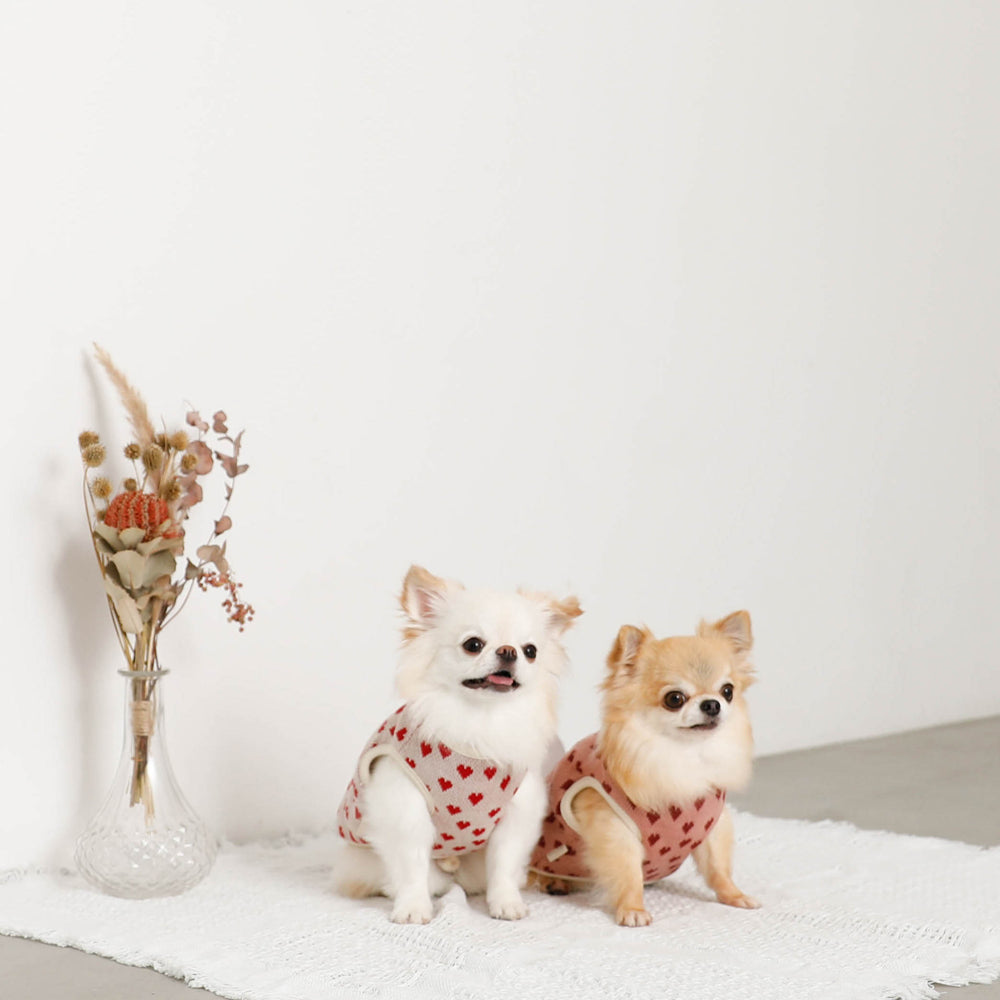 Heart pattern 2way reversible vest