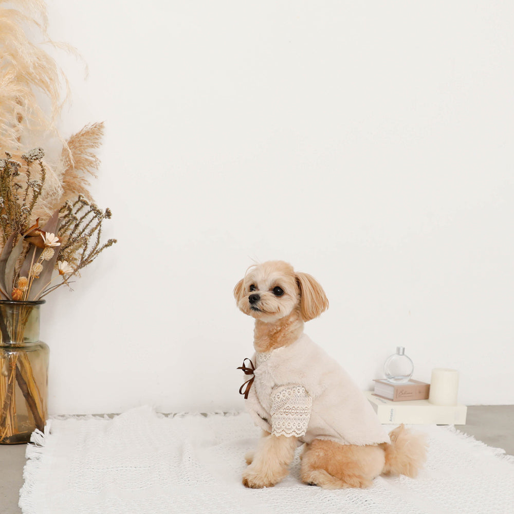 fur vest with ribbon