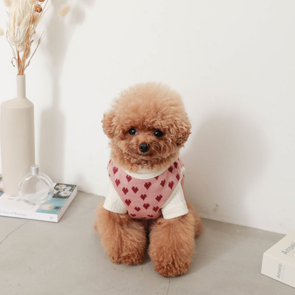 Heart pattern 2way reversible vest