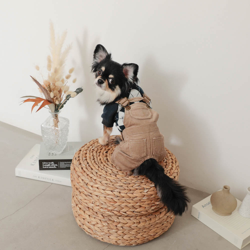 コーデュロイオーバーオール