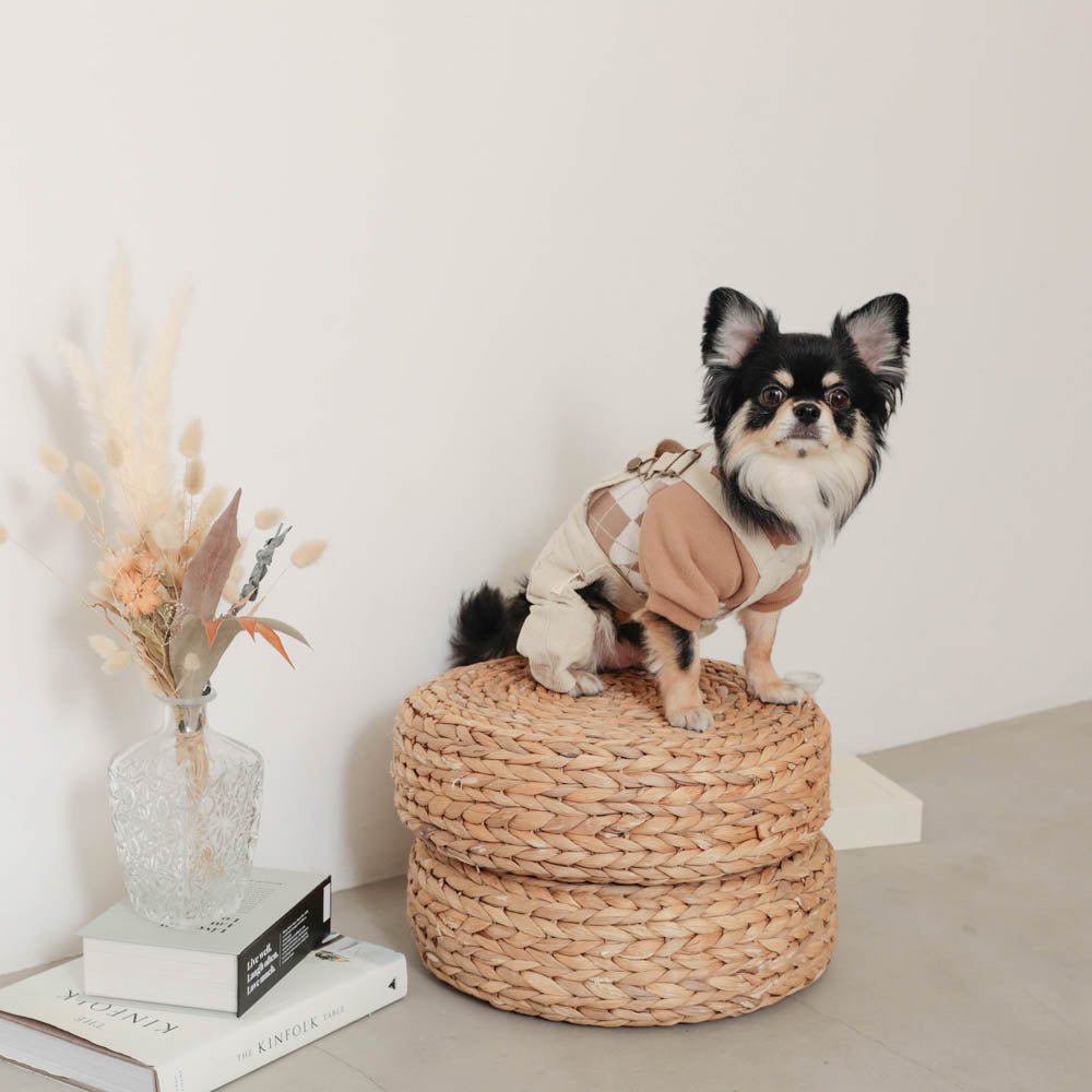 コーデュロイオーバーオール