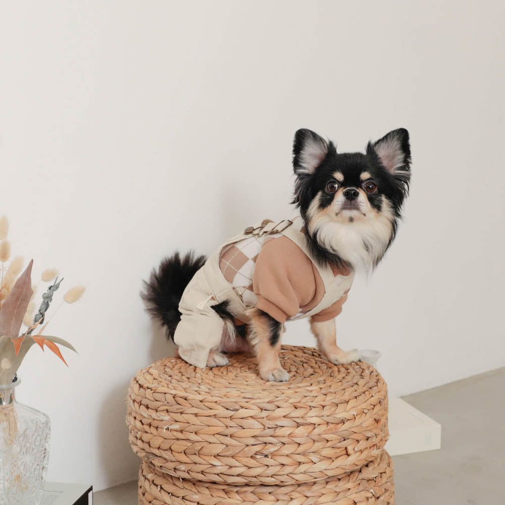 コーデュロイオーバーオール