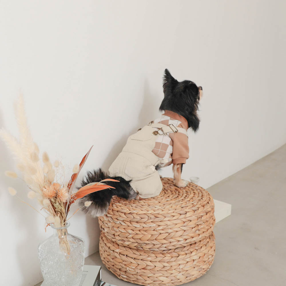 コーデュロイオーバーオール