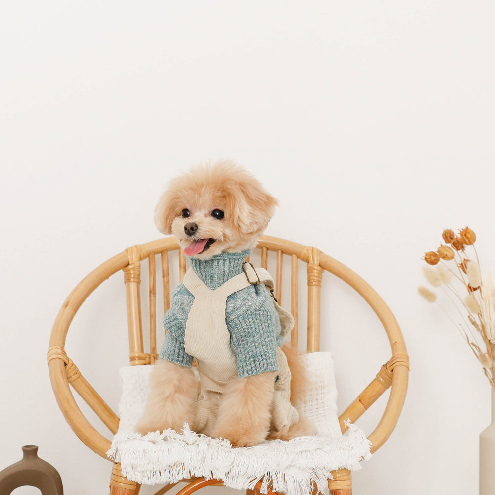 コーデュロイオーバーオール