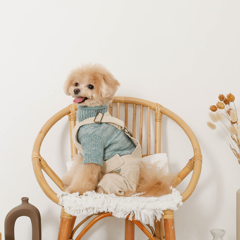 コーデュロイオーバーオール