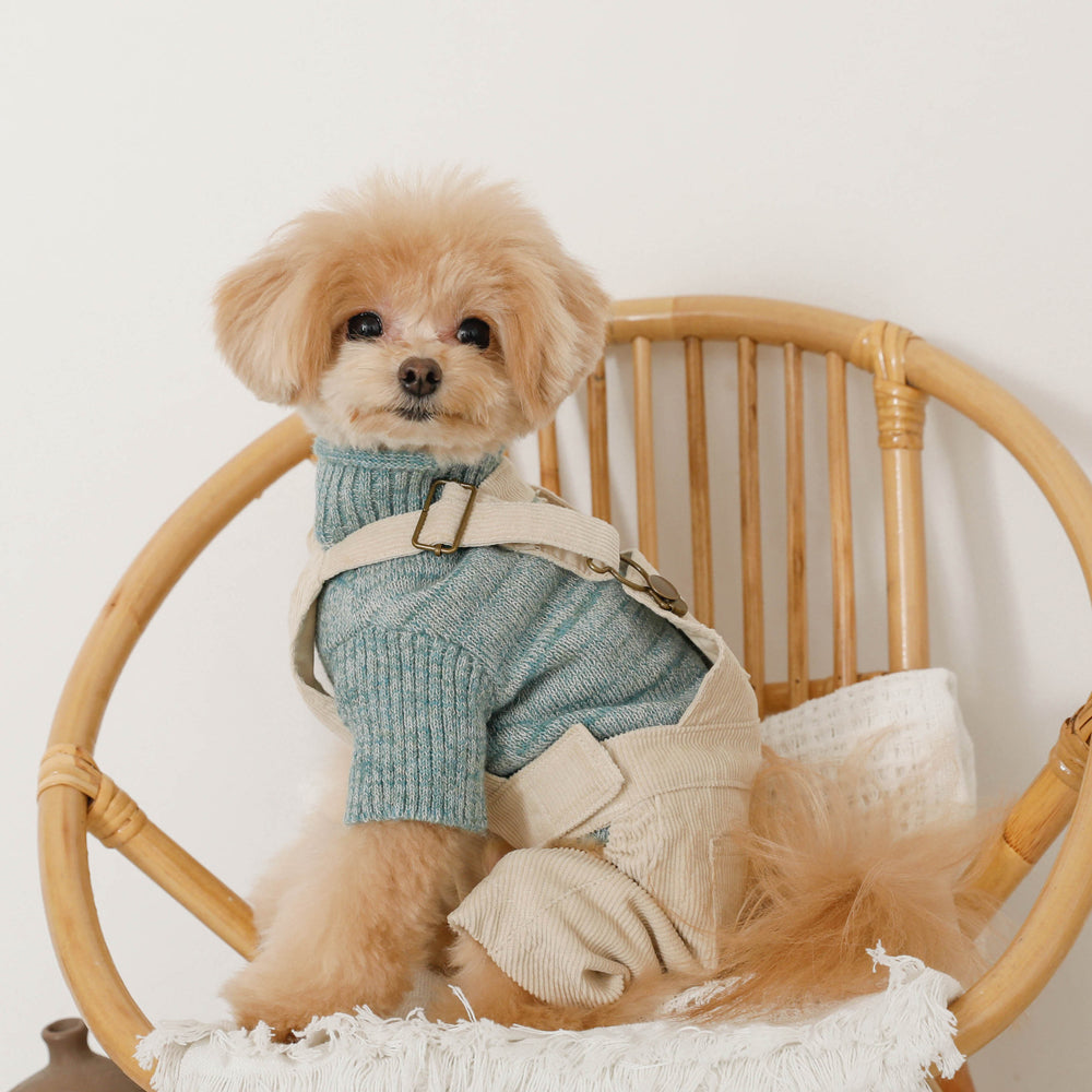 コーデュロイオーバーオール