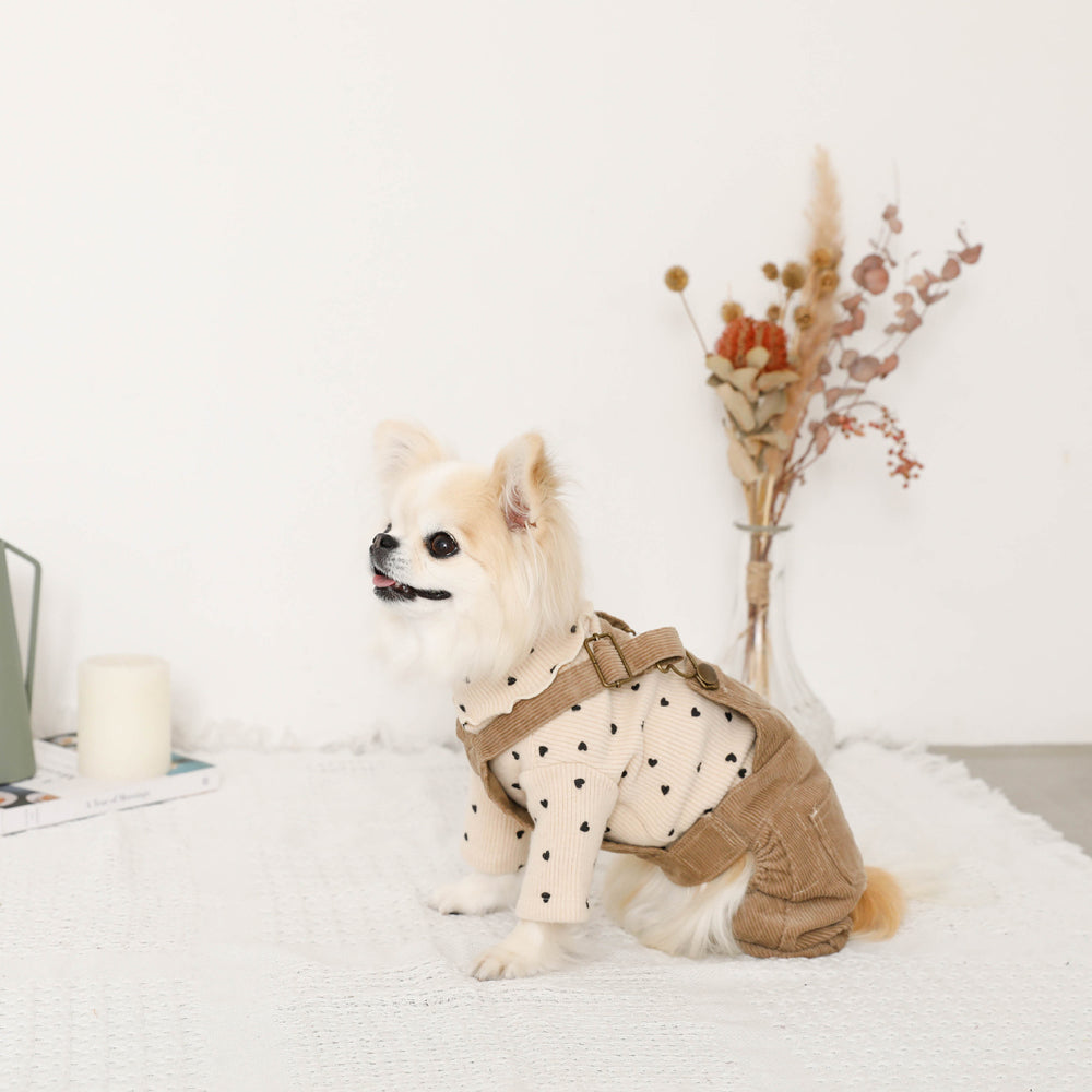 コーデュロイオーバーオール