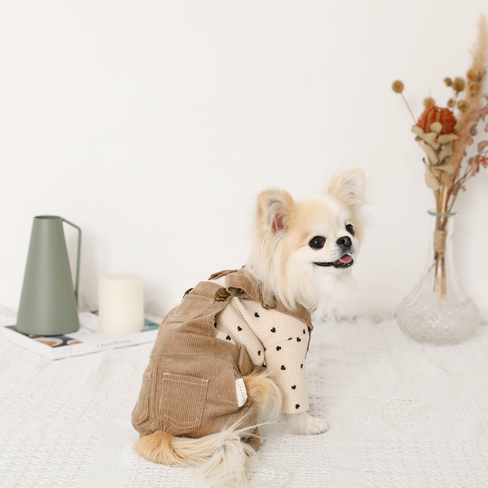 コーデュロイオーバーオール