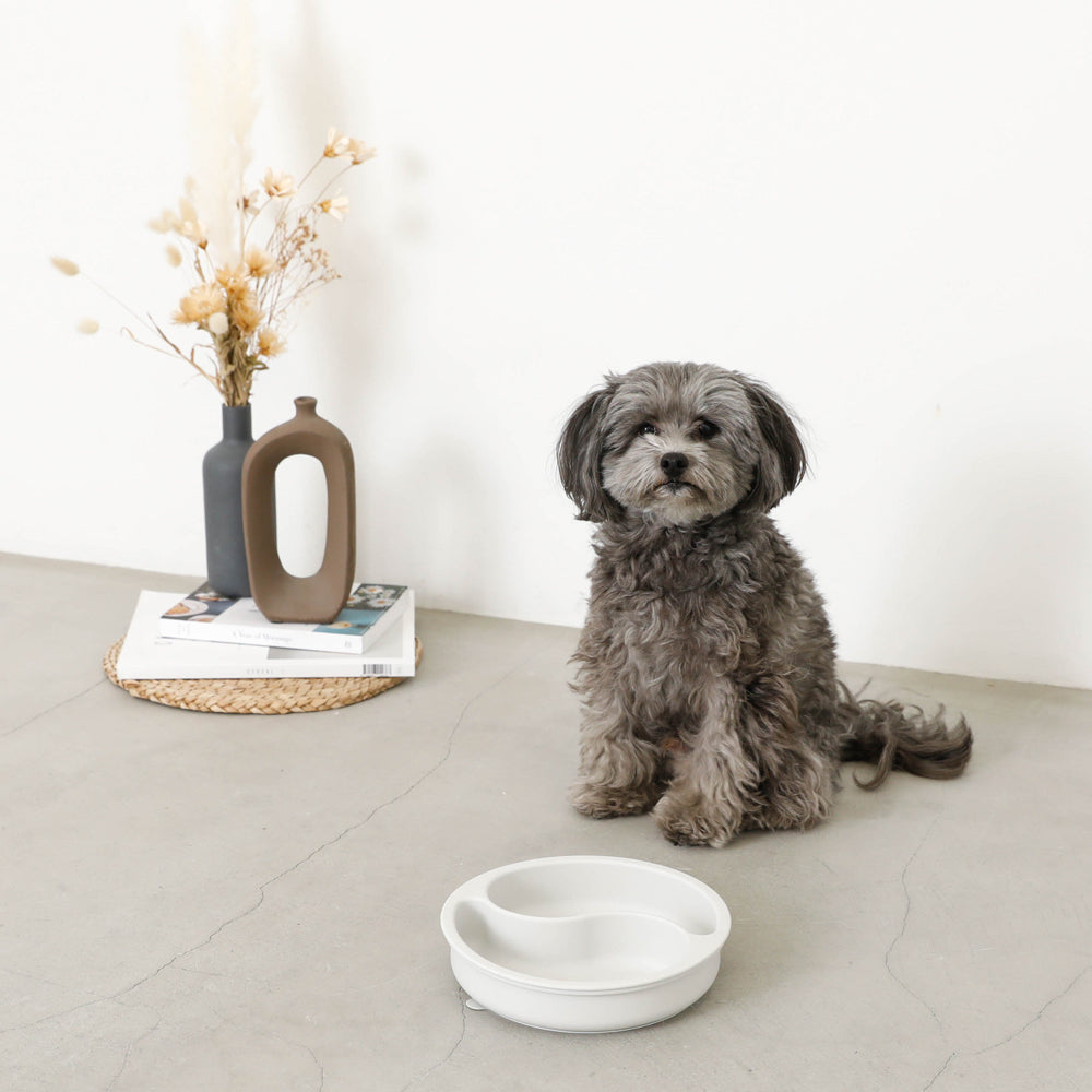 adsorption silicone food bowl