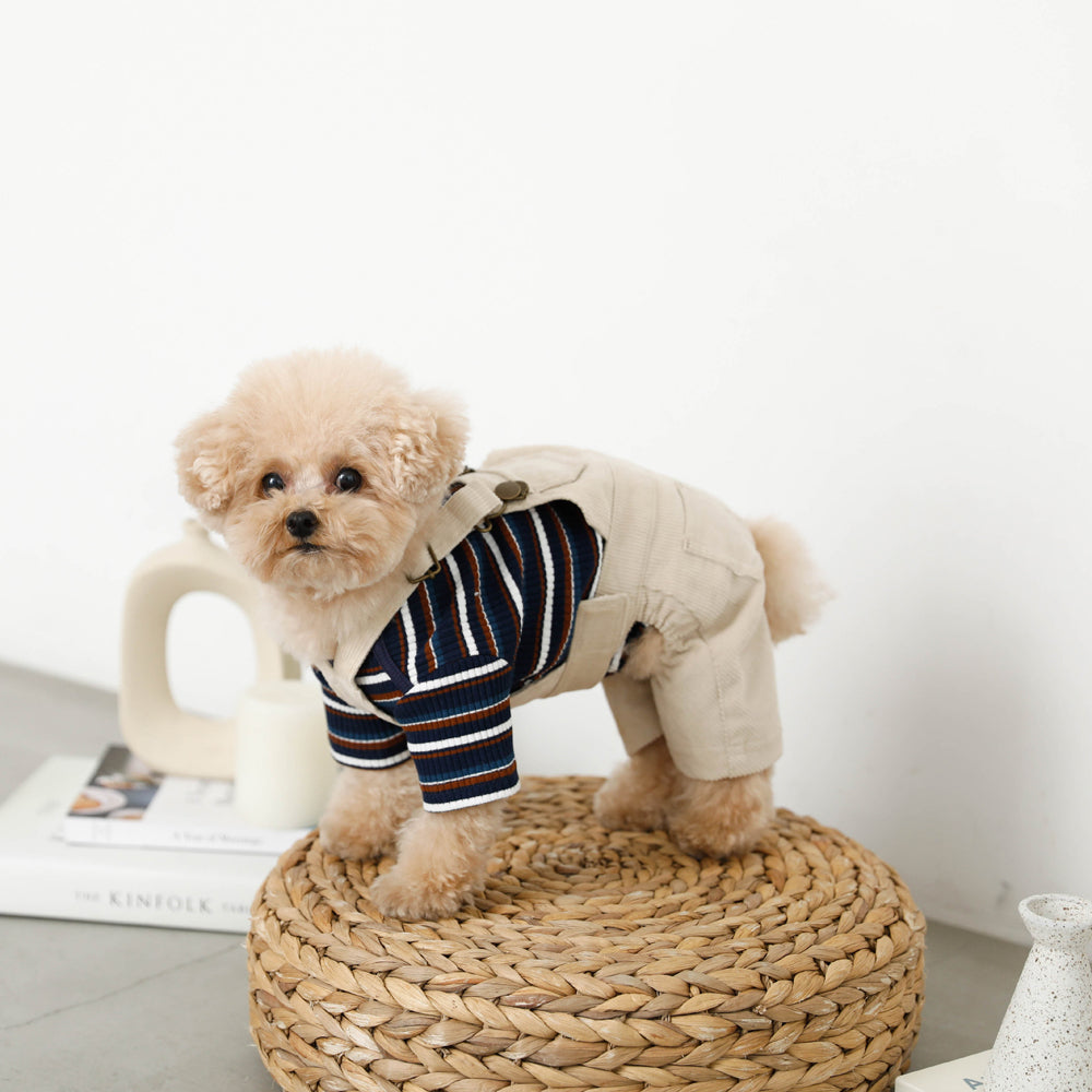 コーデュロイオーバーオール