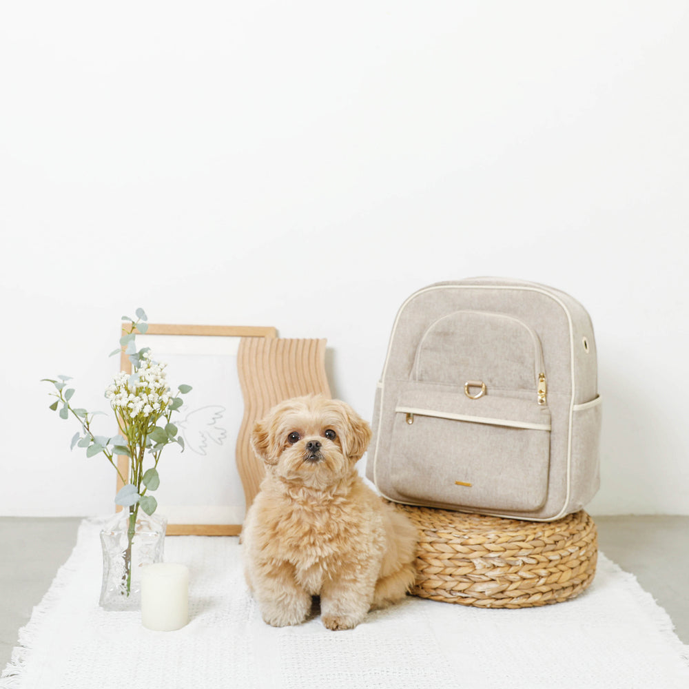 パイピングリュックキャリー