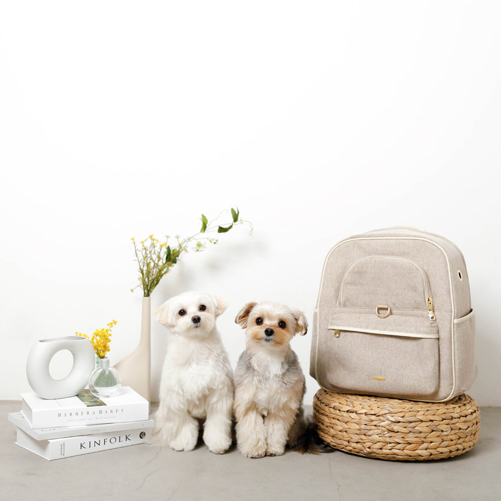 パイピングリュックキャリー