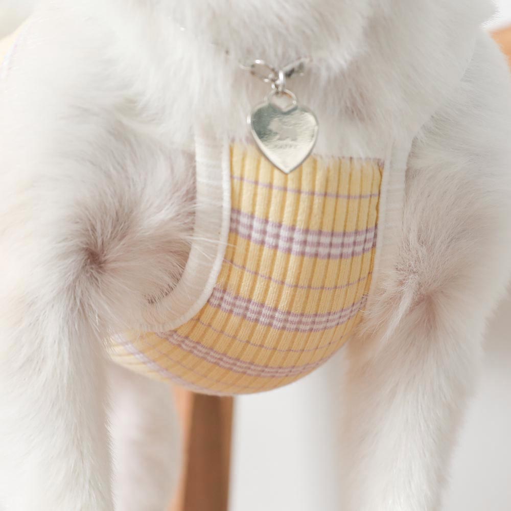 color border camisole