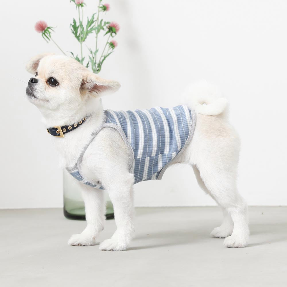 color border camisole