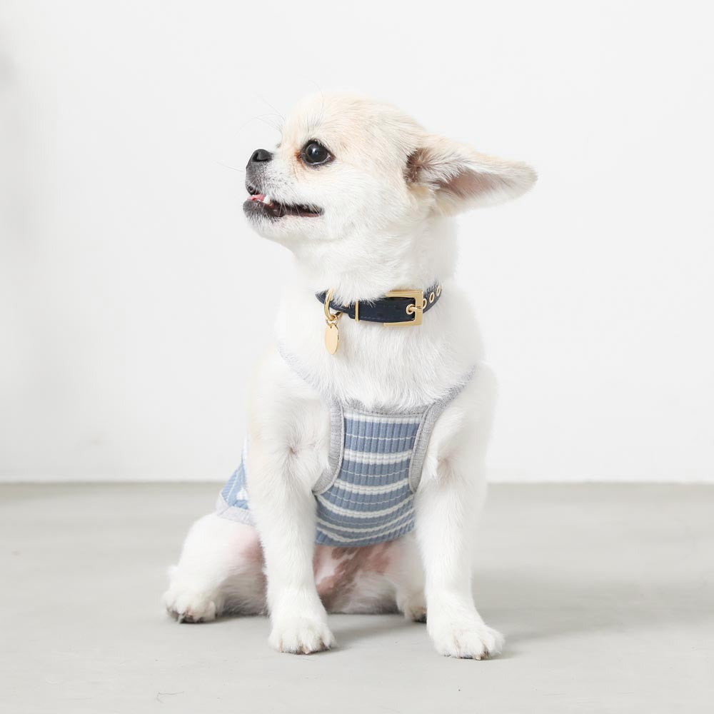 color border camisole