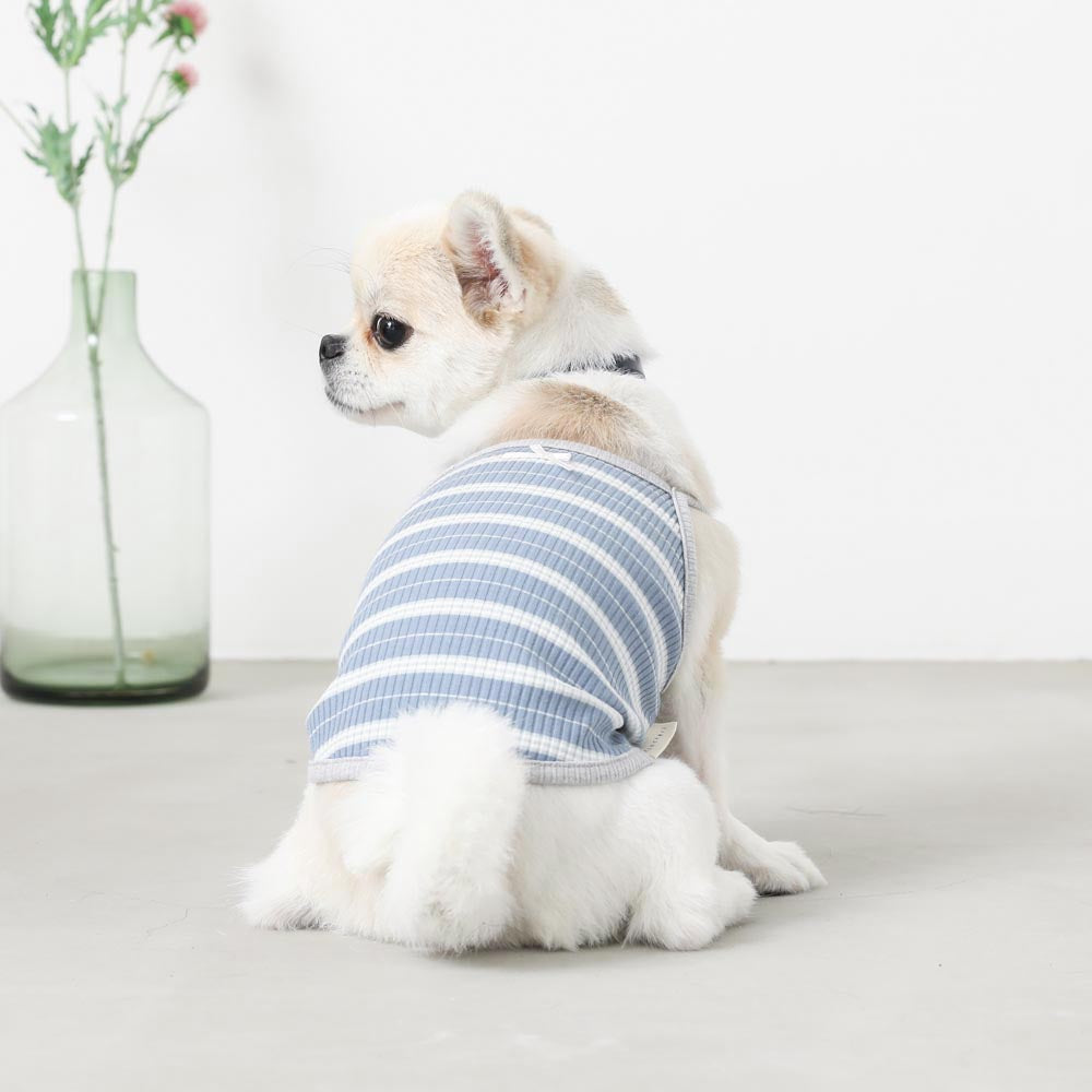 color border camisole