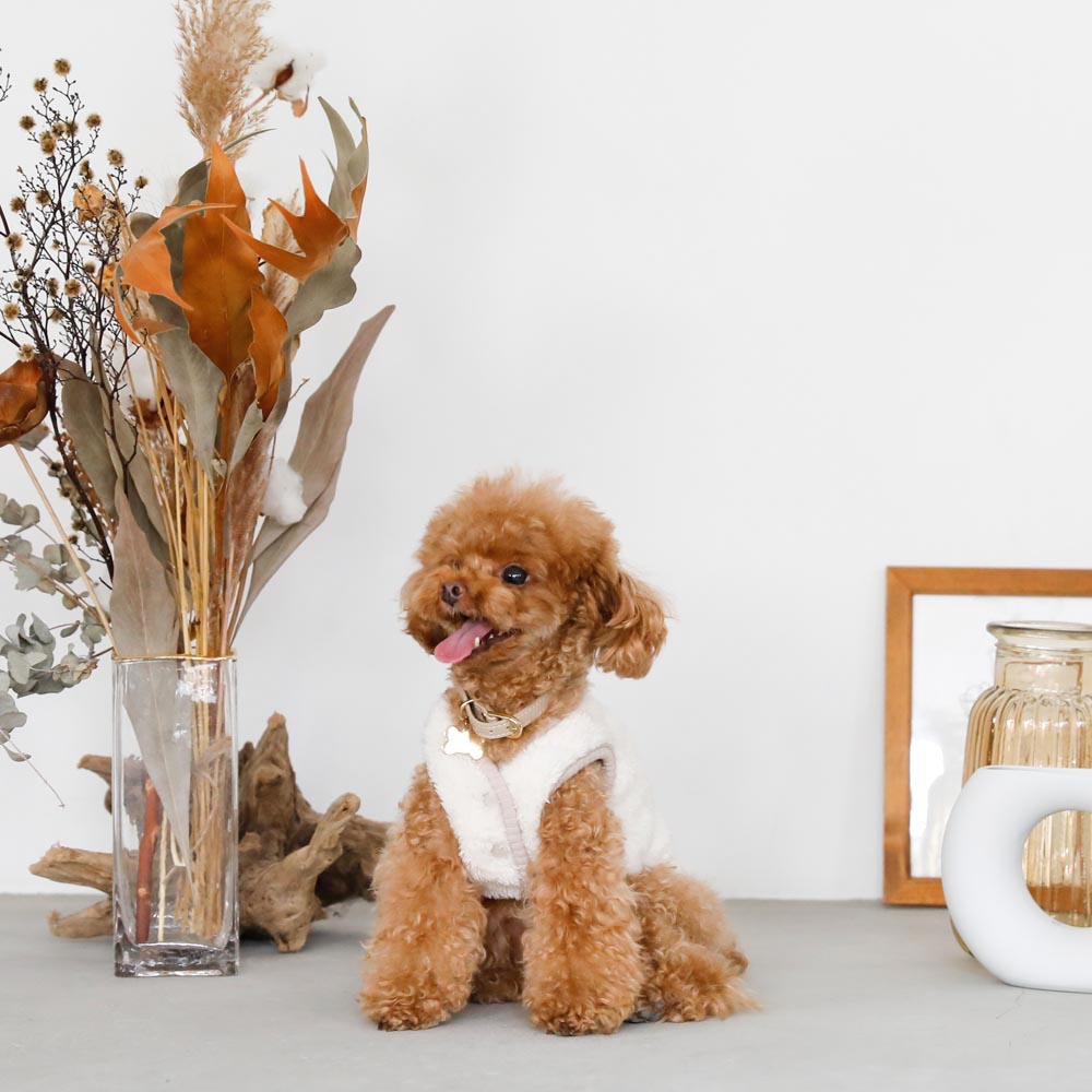 boa piping button vest