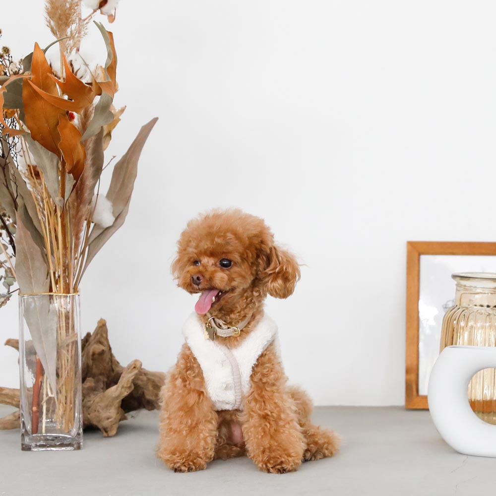 boa piping button vest