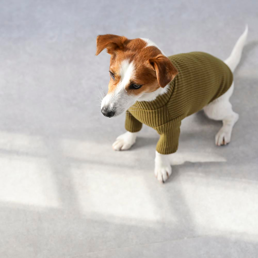 シンプルリブハイネックトップス