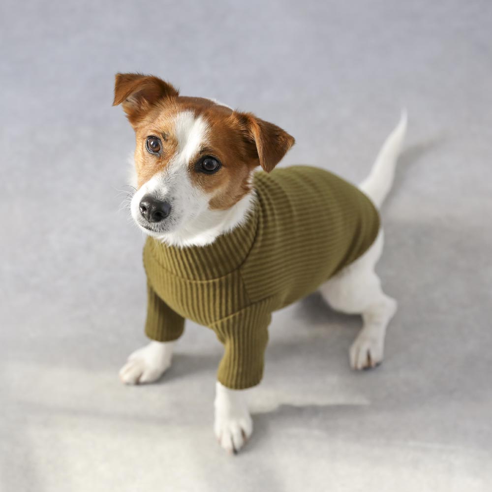 シンプルリブハイネックトップス