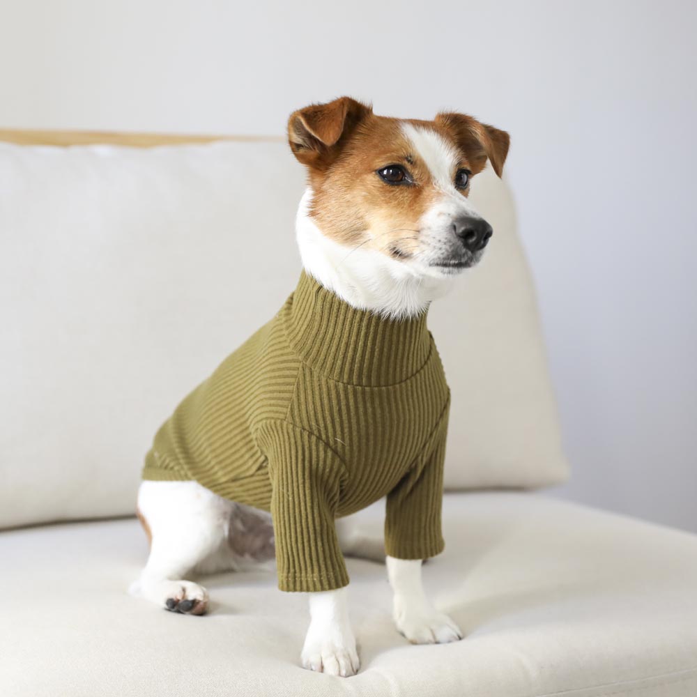 シンプルリブハイネックトップス