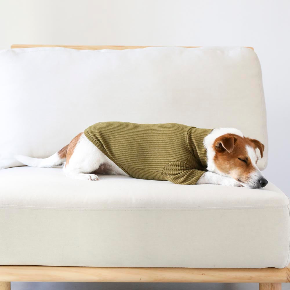 シンプルリブハイネックトップス