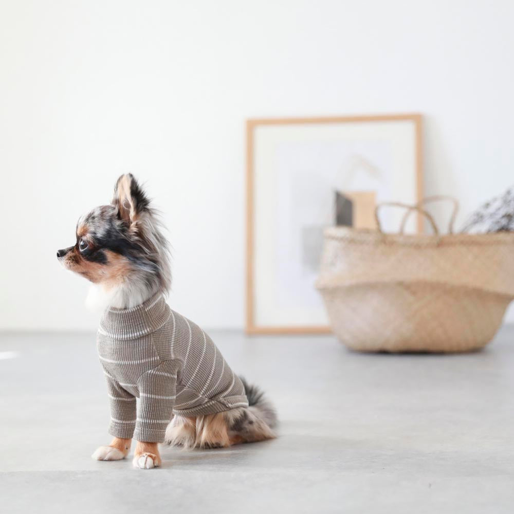 Chalk border ribbed high neck tops