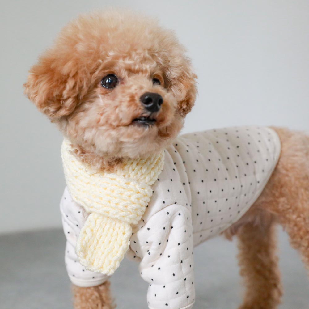 star dot quilted jacket