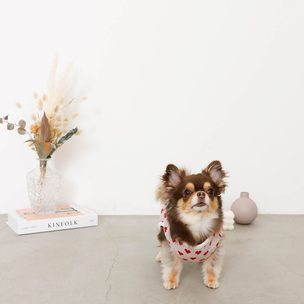 Heart pattern 2way reversible vest