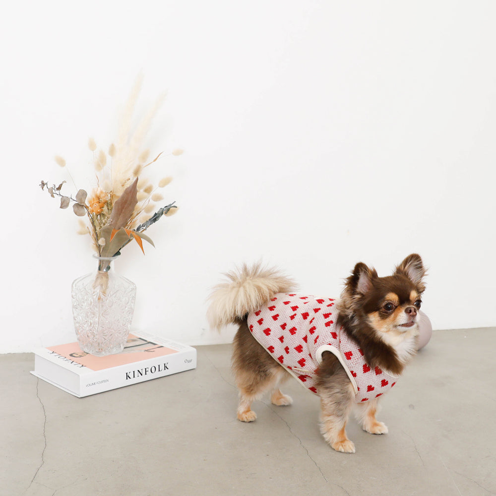 Heart pattern 2way reversible vest