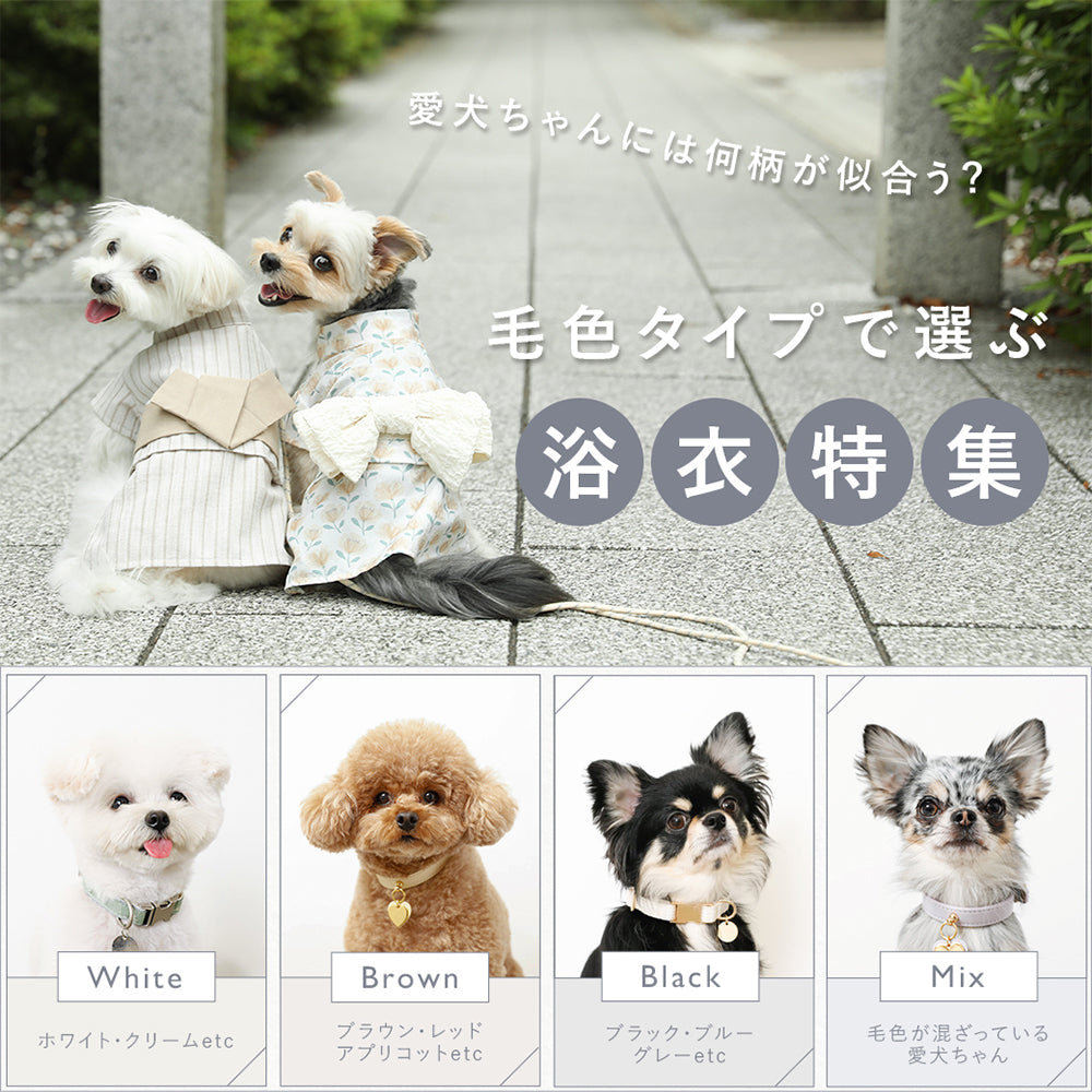愛犬ちゃんには何柄が似合う？毛色タイプで選ぶ浴衣特集