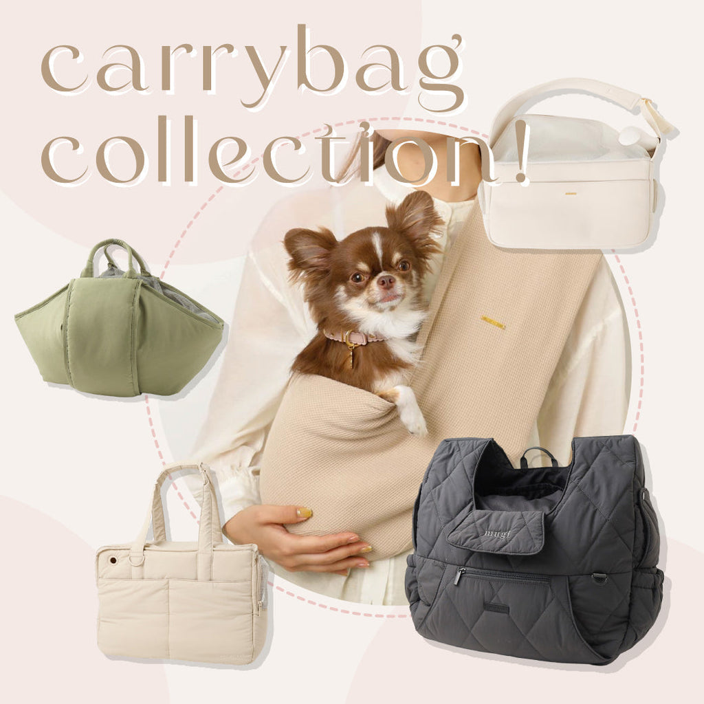Carrybag收集