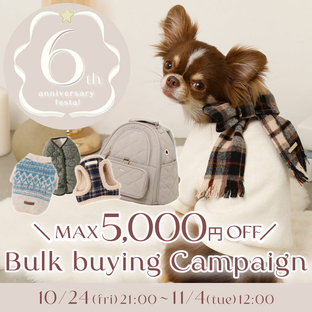 6th アニバーサリーまとめ買いキャンペーン