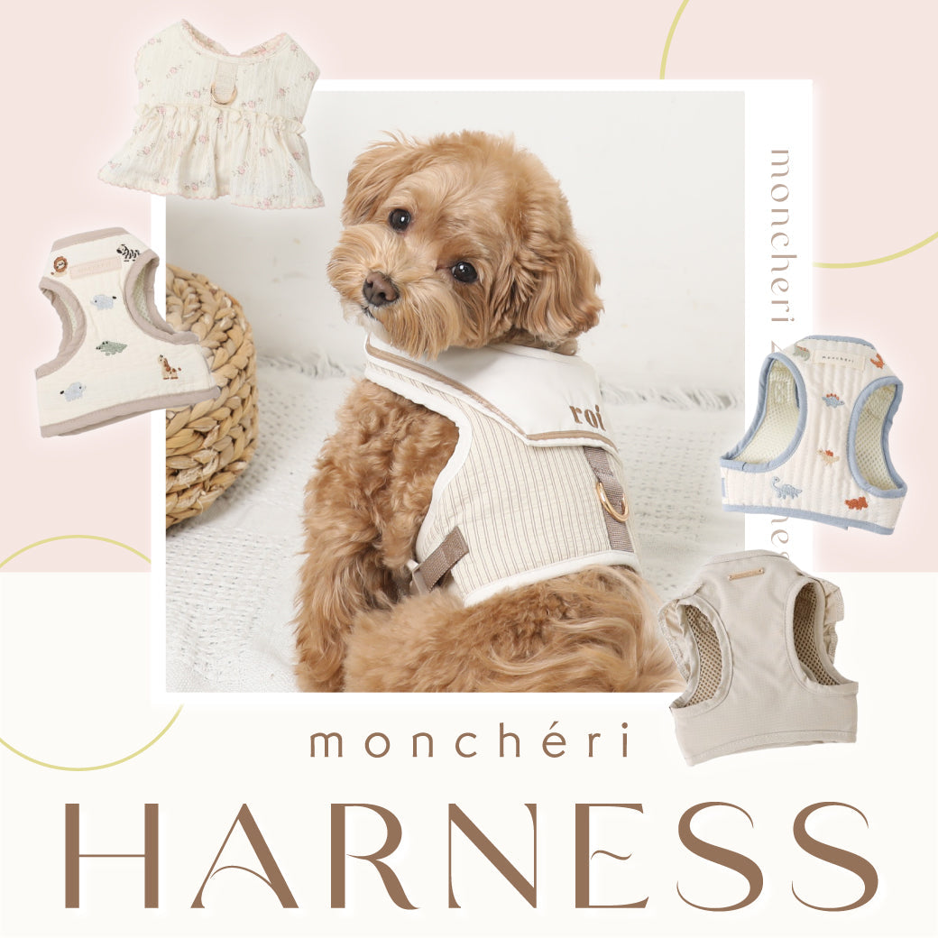 2026 HARNESS COLLECTION