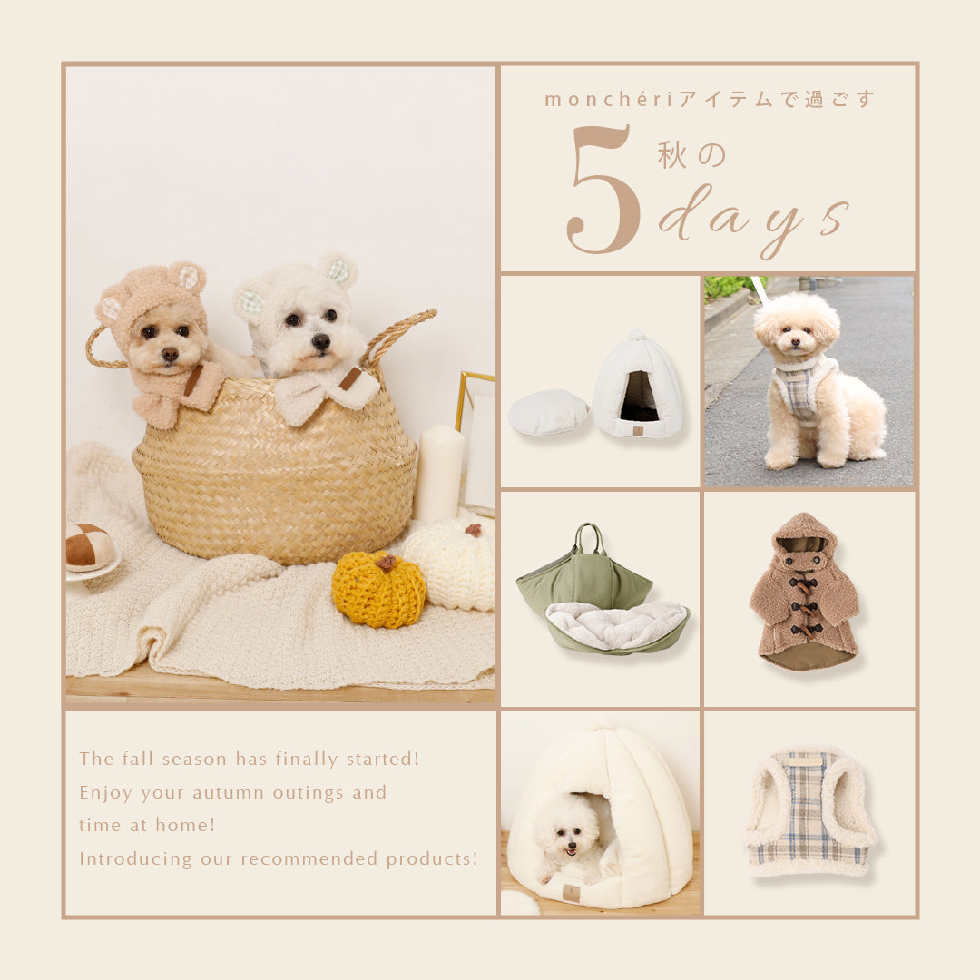 秋を楽しむ5days