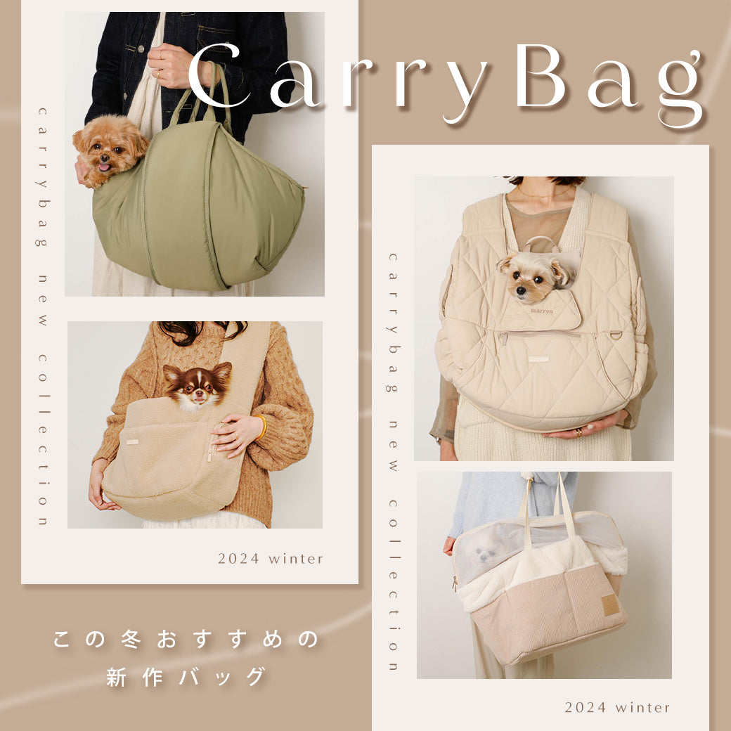 Bag new collection