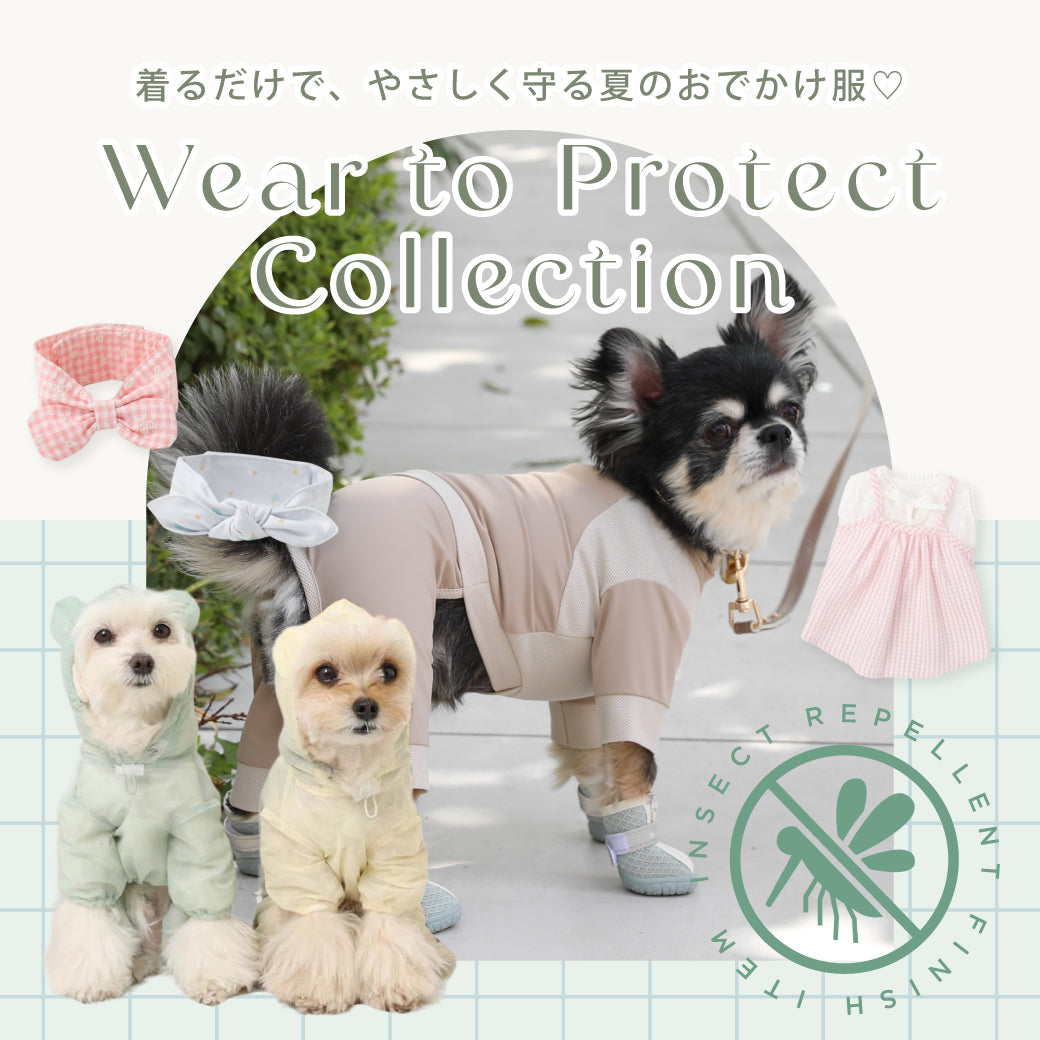 ニュース