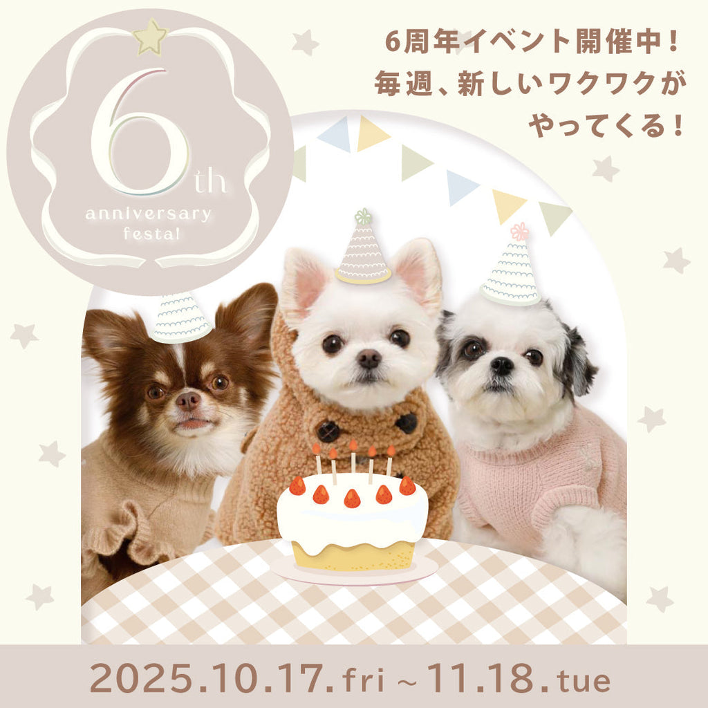 Moncheri 六週年慶典！