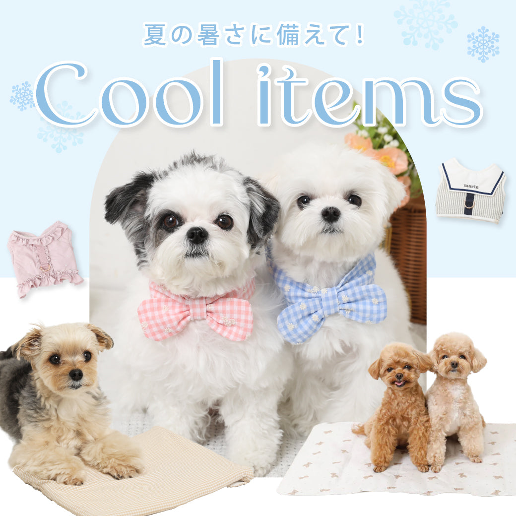2026 COOL SUMMER COLLECTION
