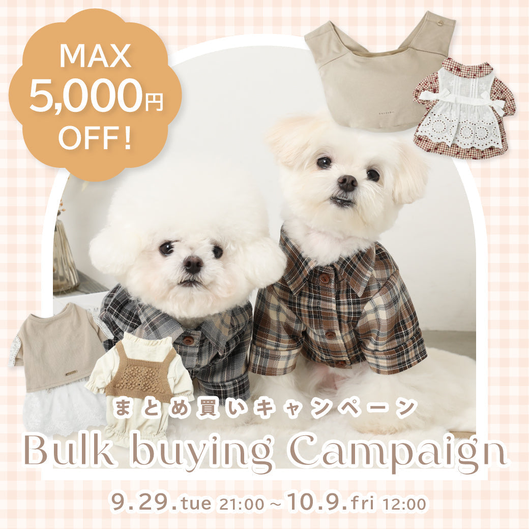 秋支度のまとめ買いキャンペーン