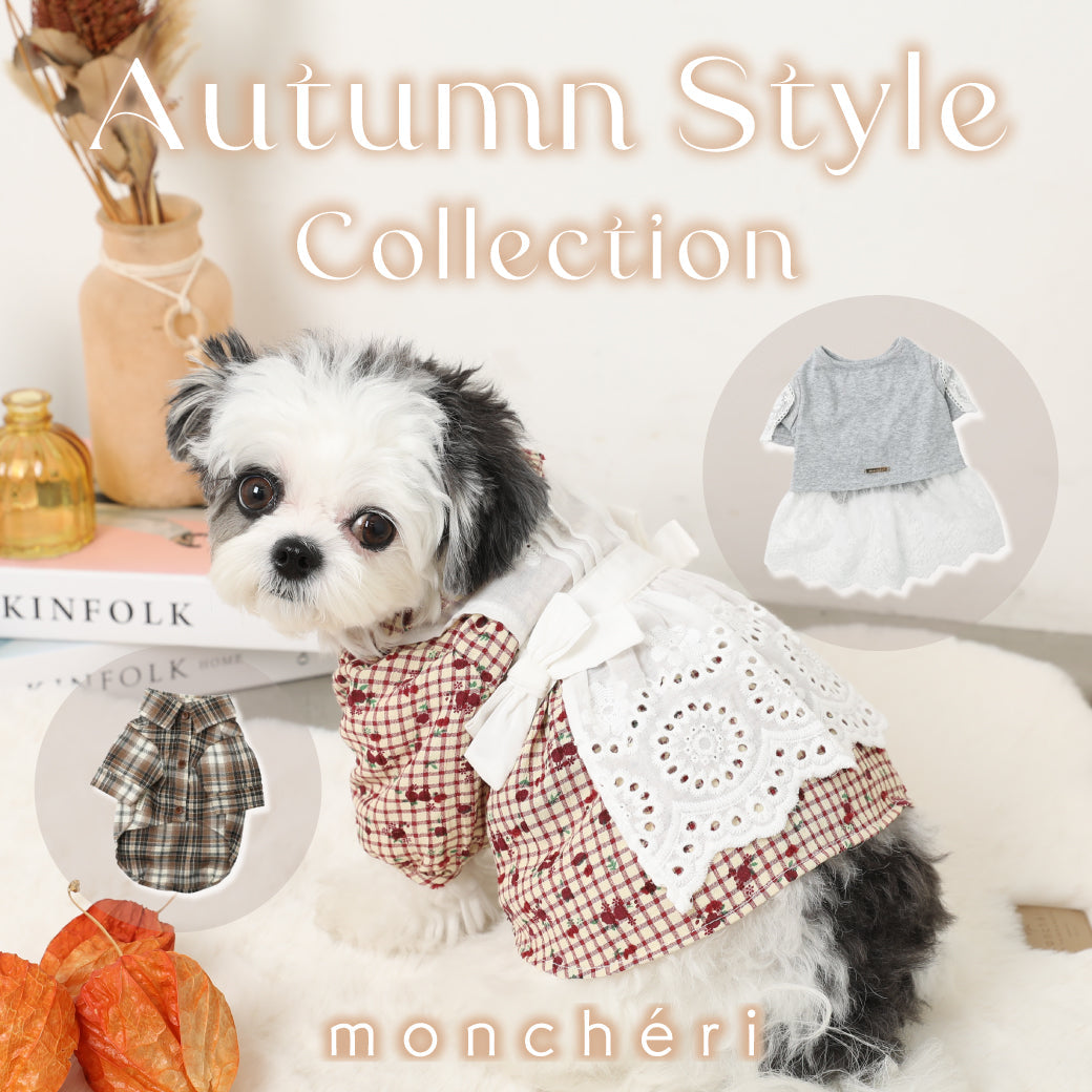 ＼秋のおしゃれをもっと楽しもう／ 愛犬ちゃんと楽しむ秋のお洋服特集♪