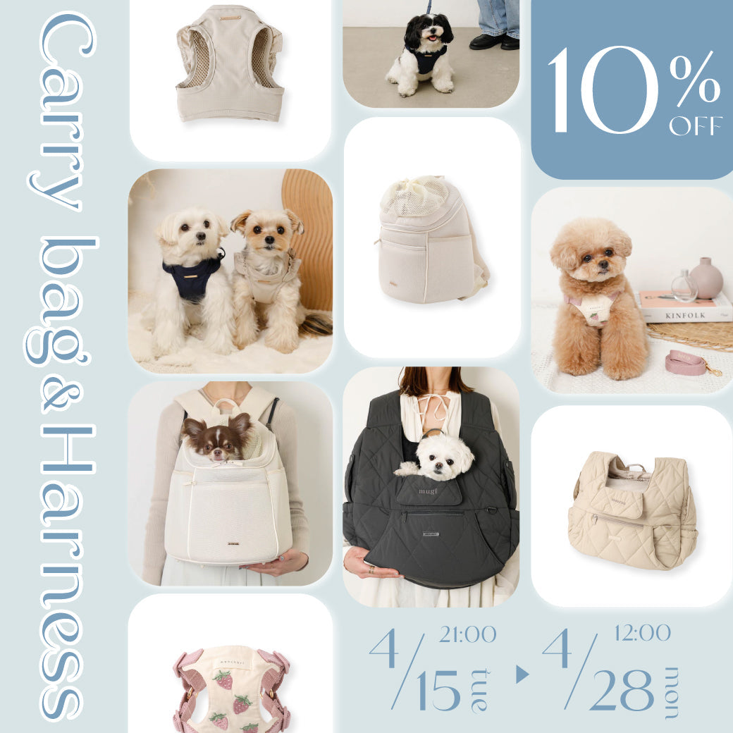 キャリーバッグ・ハーネス10％OFF