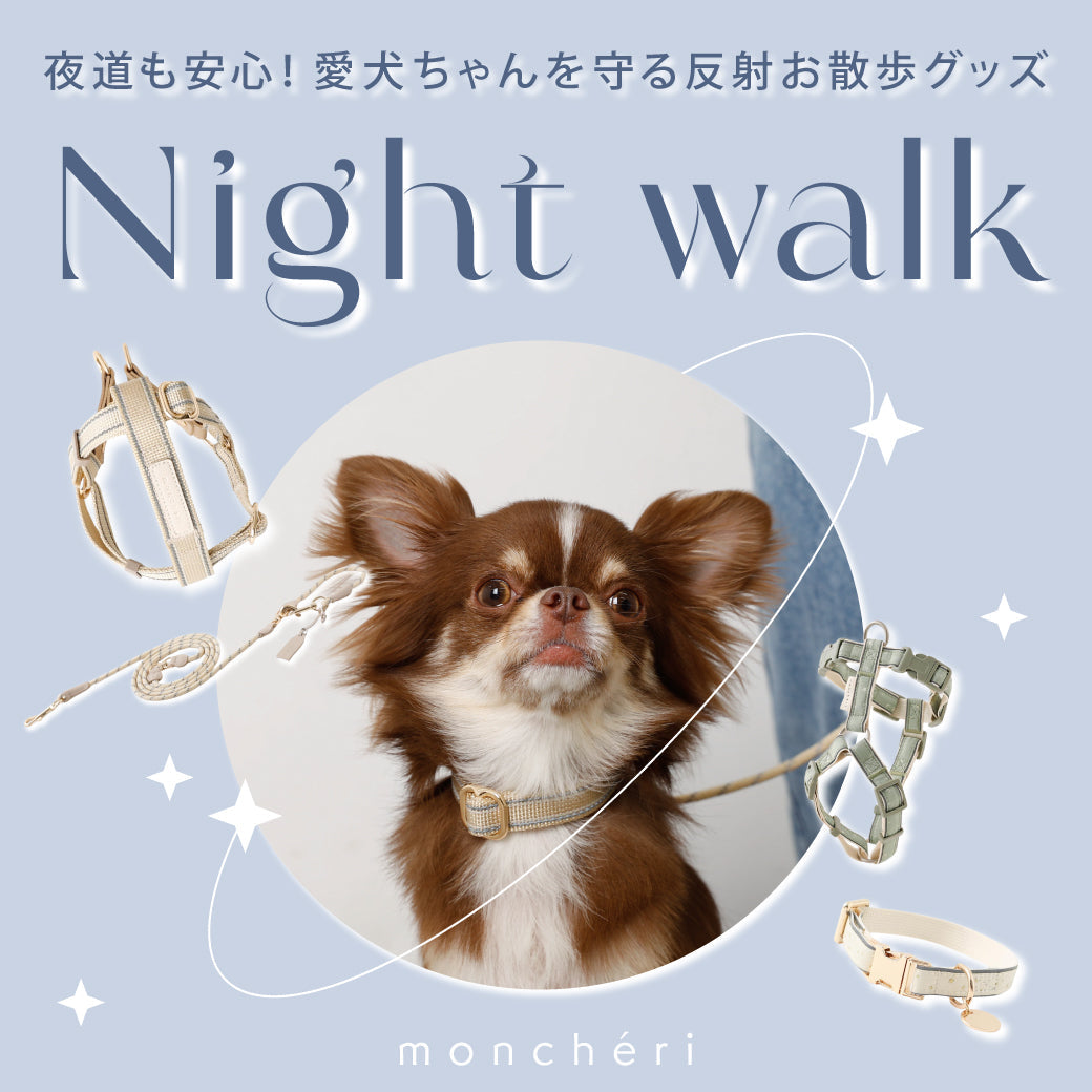 夜のお散歩におすすめグッズ