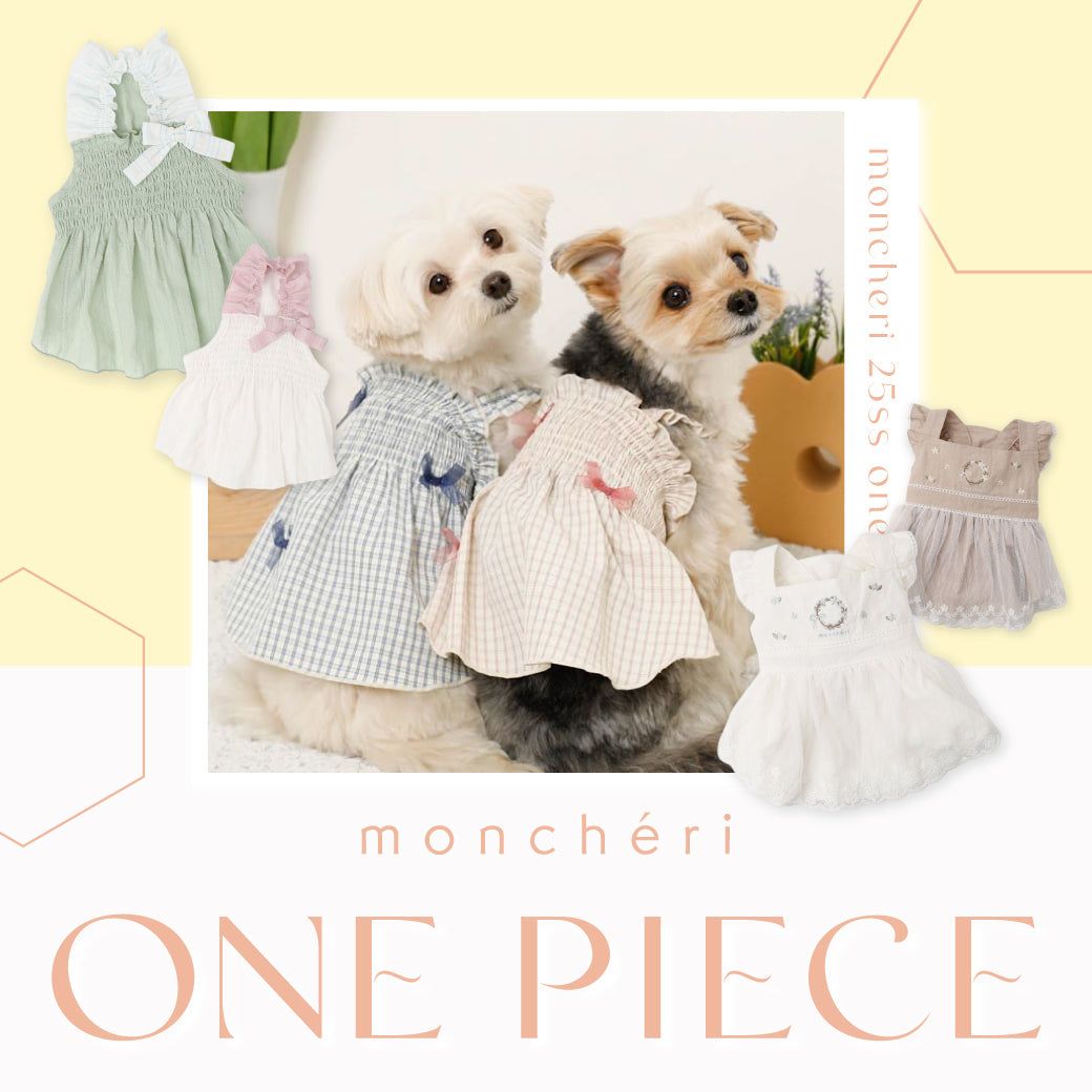 ONE PIECE 25SS