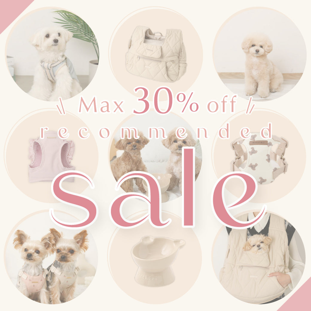 MAX30％OFF!!レコメンドセール