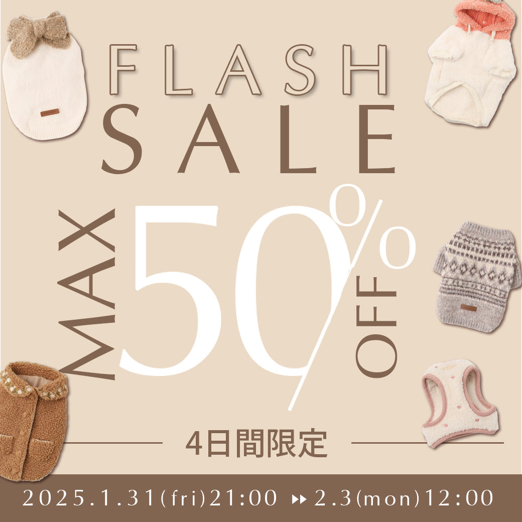4日間限定 フラッシュセール