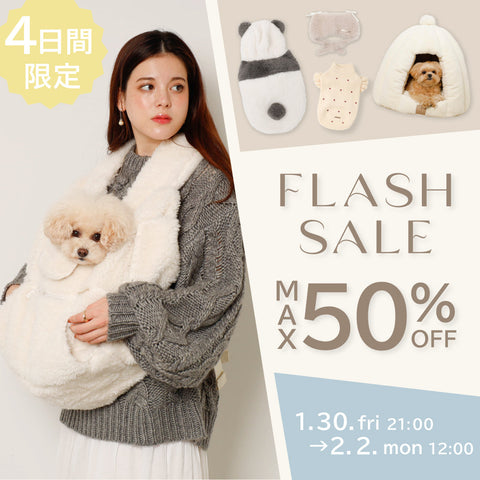 2/2（月）12:00まで！フラッシュセール